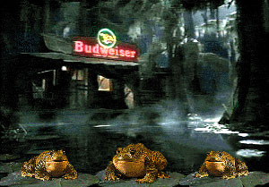 budfrogs