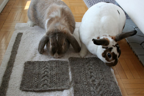 bunnyweek_knittingbunnies