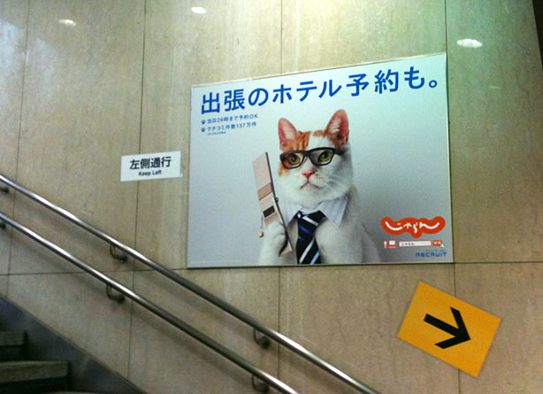 businesscat