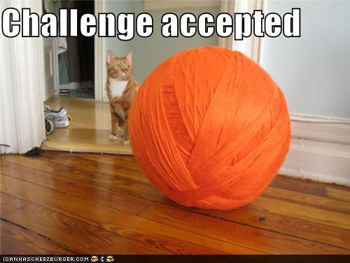 challengeaccepted