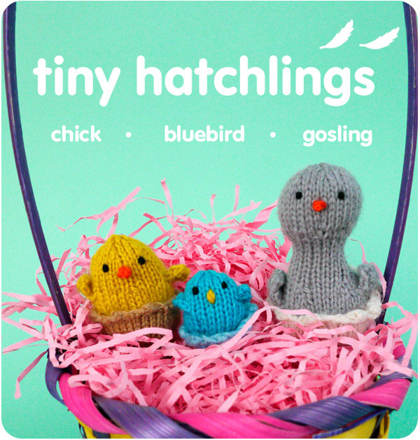 hatchlings_announce1